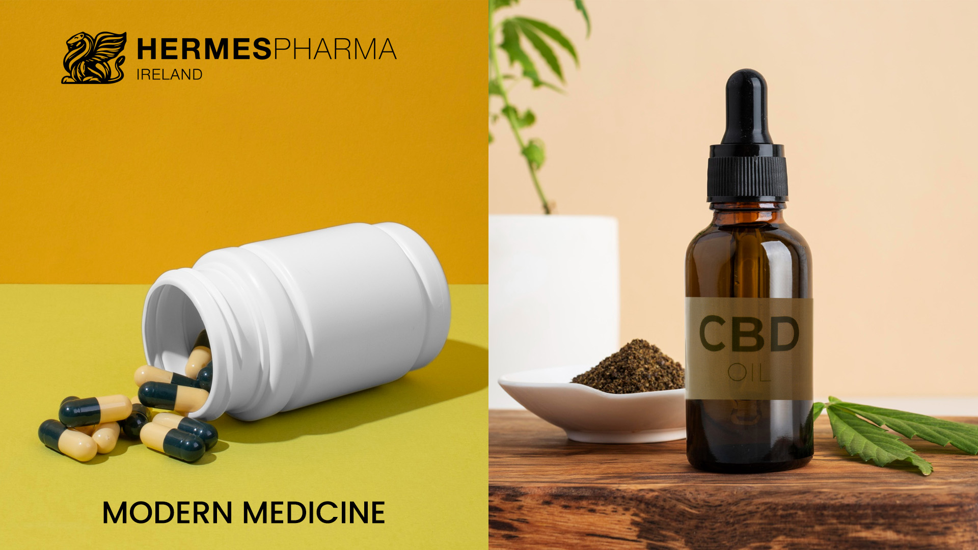 Modern Medication vs CBD || Hermes Pharma