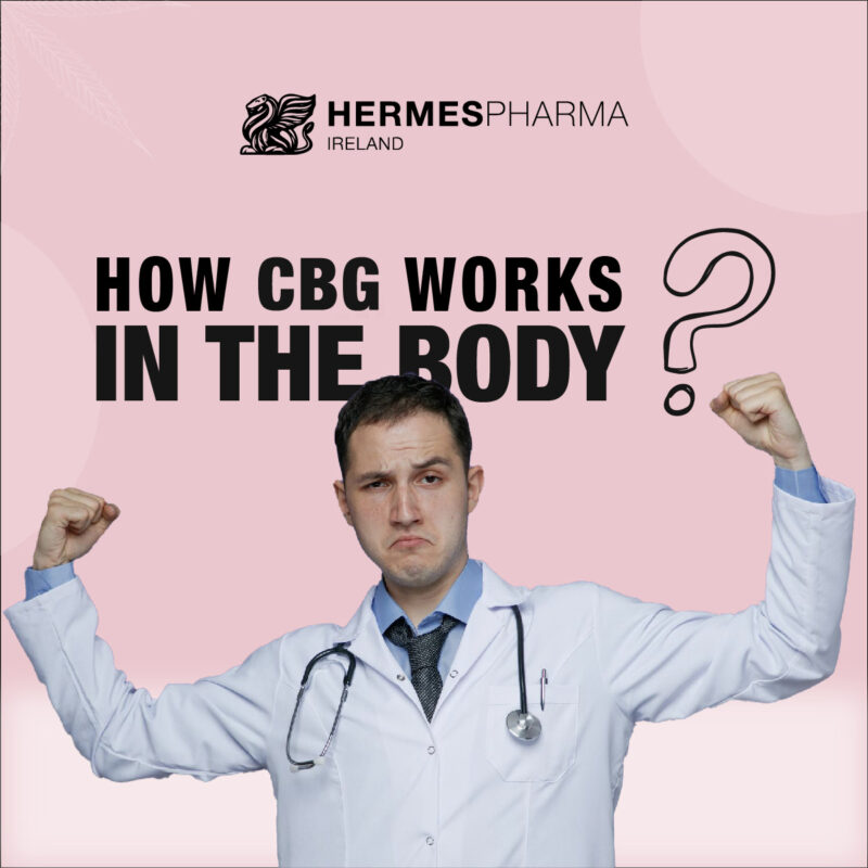 How CBG works in the body by Hermes CBD store Ireland